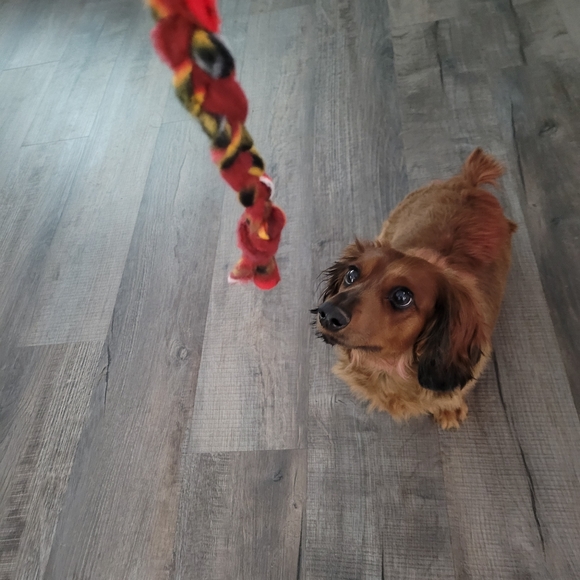 Firefighter dog toy - Picture 8 of 9